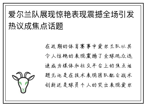 爱尔兰队展现惊艳表现震撼全场引发热议成焦点话题